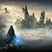 NINTENDO-NS-J HOGWARTS LEG STD NINTENDO-NS-J HOGWARTS LEG STD