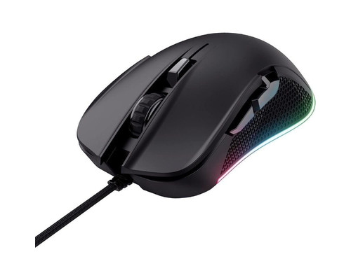 RATON TRUST GXT 922 YBAR BK V2