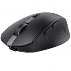 RATON TRUST OZAA COMP BK RATON TRUST OZAA COMP BK