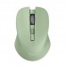 RATON TRUST MYDO SIL WIR GREE RATON TRUST MYDO SIL WIR GREE