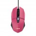 RATON TRUST GXT 109 FELOX PK RATON TRUST GXT 109 FELOX PK