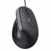 RATON TRUST BAYO II WIRED BK RATON TRUST BAYO II WIRED BK