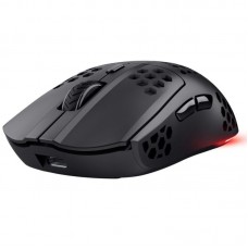 RATON TRUST GXT 929 HELOX BK RATON TRUST GXT 929 HELOX BK