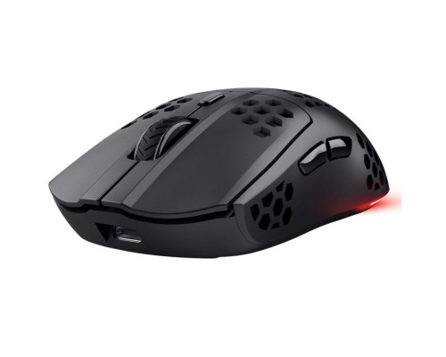 RATON TRUST GXT 929 HELOX BK RATON TRUST GXT 929 HELOX BK