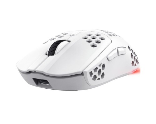 RATON TRUST GXT 929 HELOX WH RATON TRUST GXT 929 HELOX WH