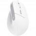 RATON TRUST BAYO II WIRED WH RATON TRUST BAYO II WIRED WH