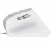 RATON TRUST BAYO II WIRED WH RATON TRUST BAYO II WIRED WH