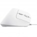 RATON TRUST BAYO II WIRED WH RATON TRUST BAYO II WIRED WH