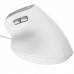 RATON TRUST BAYO II WIRED WH RATON TRUST BAYO II WIRED WH