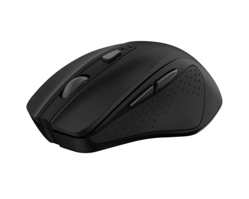 RATON TRUST NITO SILENT BK