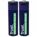 PILAS TRUST 25584