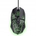 RATON TRUST GXT 113 FELOX BK RATON TRUST GXT 113 FELOX BK