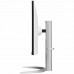 MONITOR LG 34WQ650-W
