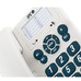 TELEFONO SPCF 3602 BL