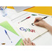 BOLIGRAFO TINTA BIC SURTIDO 10U BOLIGRAFO TINTA BIC SURTIDO 10U