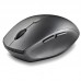 RATON NGS BEE BLACK RATON NGS BEE BLACK