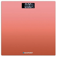 BLP-PAE-BAS BP5008