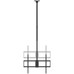 AIS-SOP CT100TSLE-393 AIS-SOP CT100TSLE-393