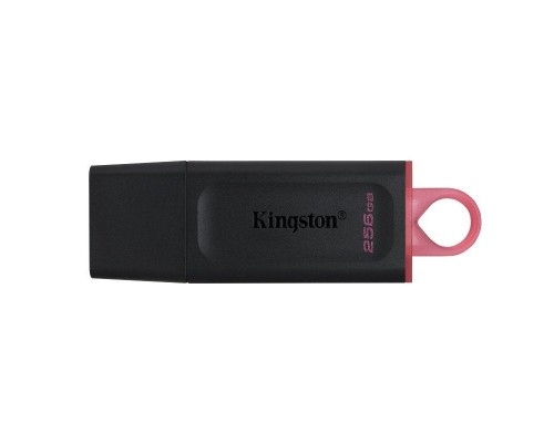 MEMORIA KINGSTON-JETFLASH DTX 256GB MEMORIA KINGSTON-JETFLASH DTX 256GB