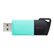 MEMORIA KINGSTON-JETFLASH DTXM 256GB MEMORIA KINGSTON-JETFLASH DTXM 256GB