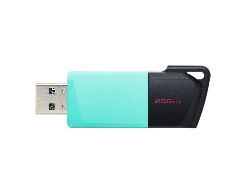 MEMORIA KINGSTON-JETFLASH DTXM 256GB
