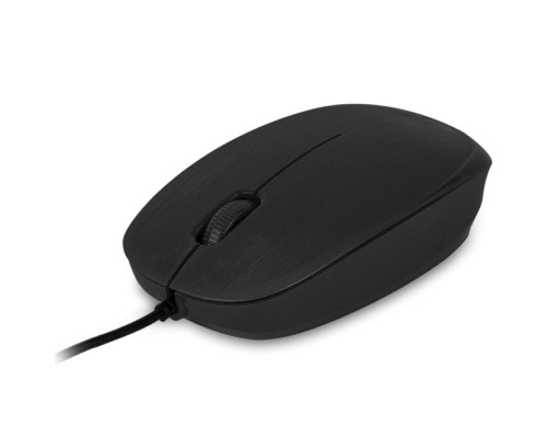 RATON NGS FLAME