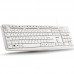 TECLADO NGS HERITAGE WH