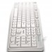 TECLADO NGS HERITAGE WH