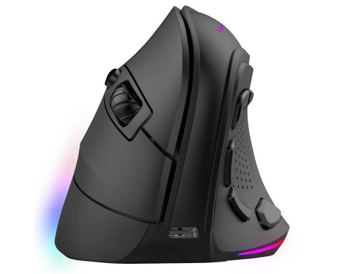 RATON TACENS MM-SK BK