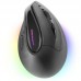 RATON TACENS MM-SK BK