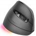 RATON TACENS MM-SK BK