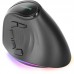 RATON TACENS MM-SK BK