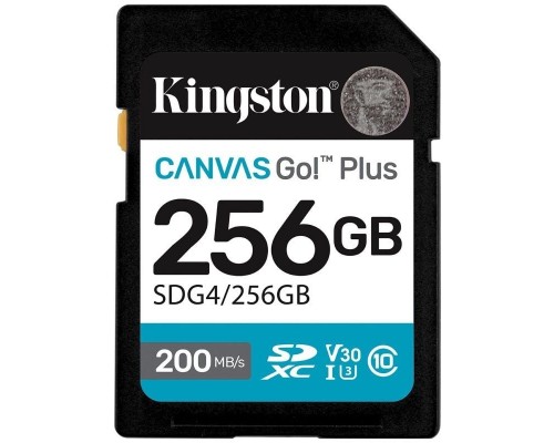 MEMORIA KINGSTON-SD SDG4 256GB MEMORIA KINGSTON-SD SDG4 256GB