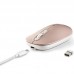 RATON NGS SHELL RB
