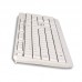 TECLADO NGS SPIKE TECLADO NGS SPIKE